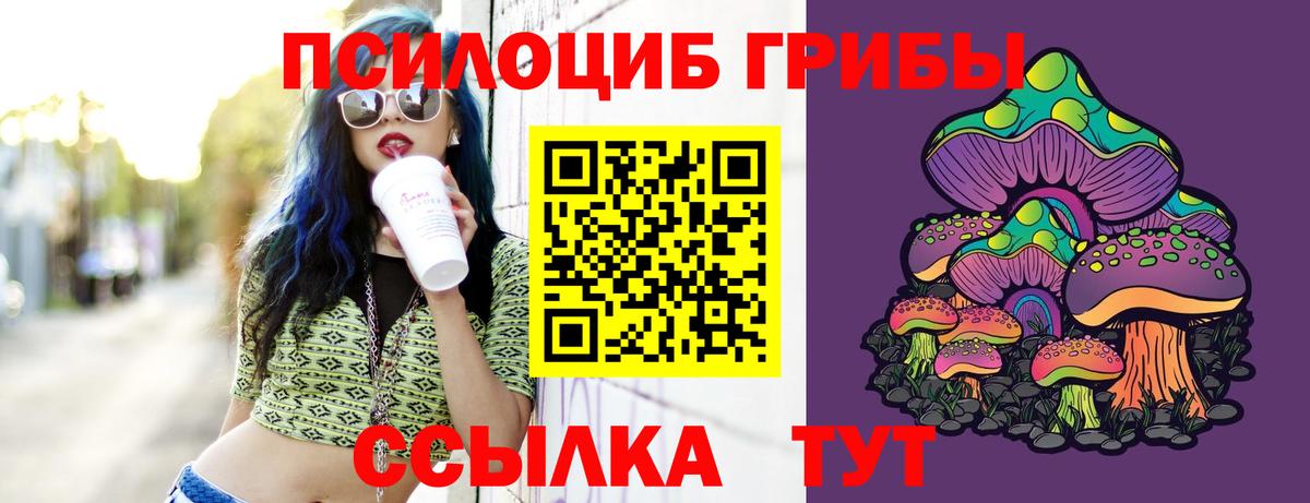 хочу   Вход с VPN  Галлюциногенные грибы Psilocybine cubensis  Сыктывкар  Галлюциногенные грибы Psilocybe 
